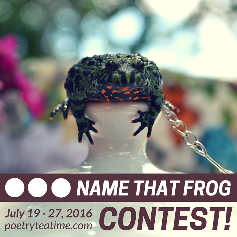 Name That Frog Contest