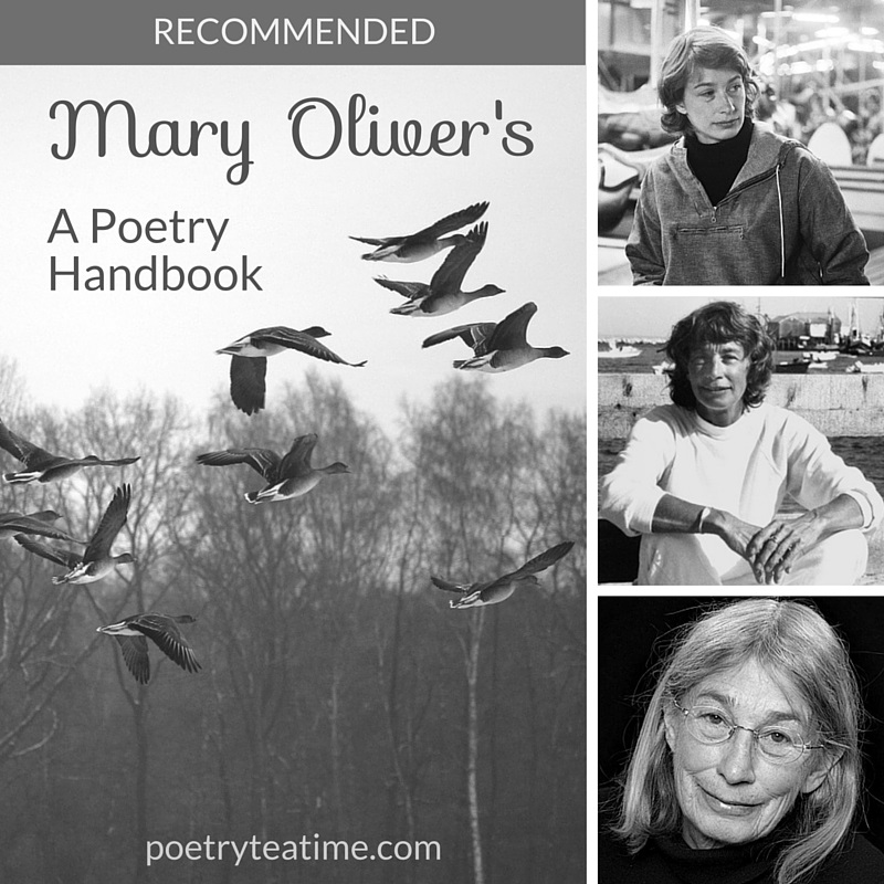 Poetry Teatime recommends Mary Oliver's A Poetry Handbook