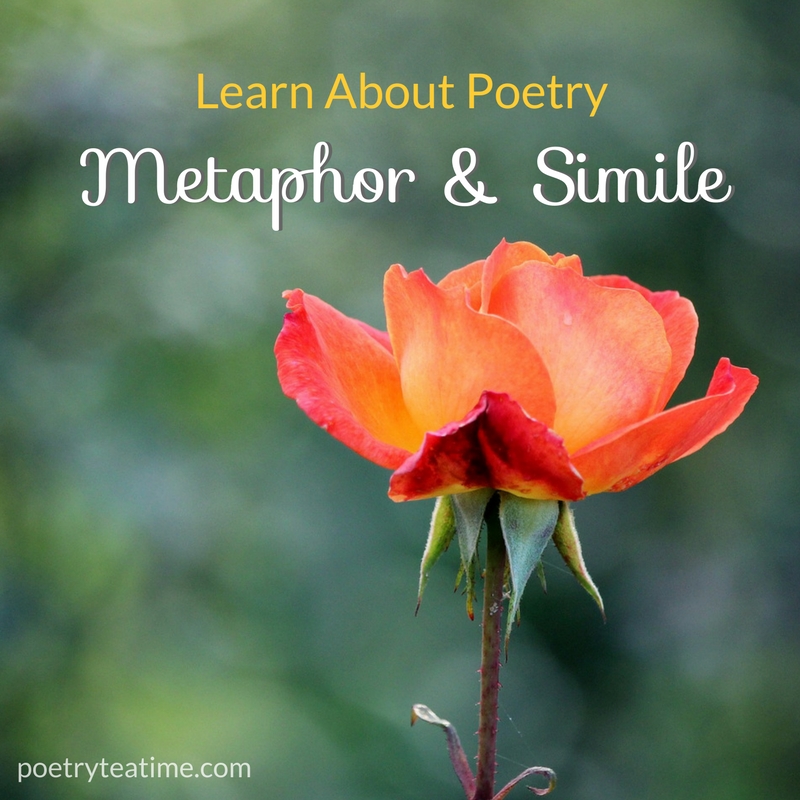 Metaphor & Simile - Poetry Teatime
