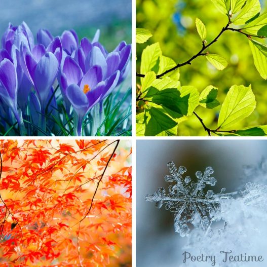 Poetry Collections for the Four Seasons